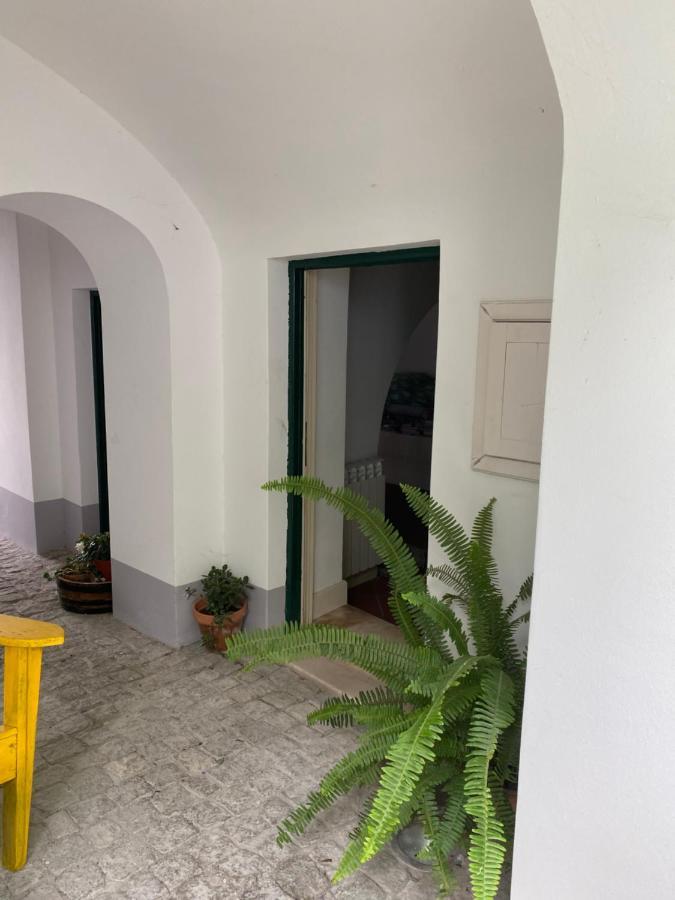 Appartamento Casa Do Menino Jesus Évora Esterno foto